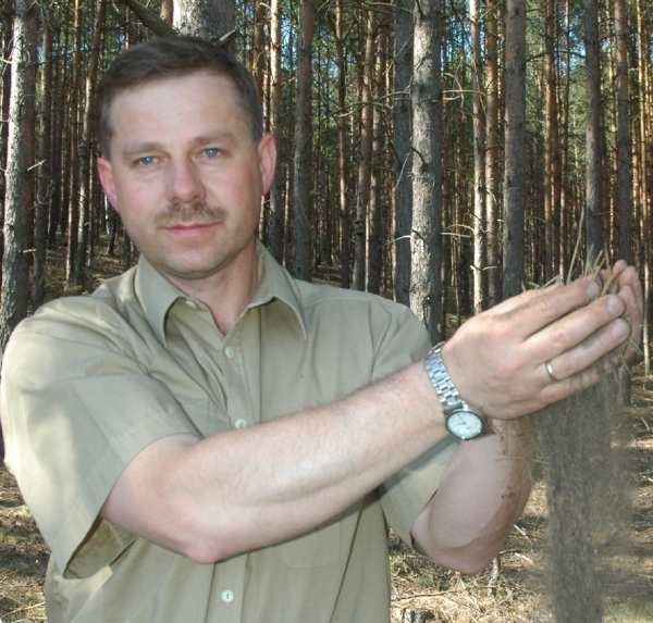 - Najbardziej zagrożone pożarami są lasy iglaste - mówi Jarosław Szałata z trzcielskiego nadleśnictwa