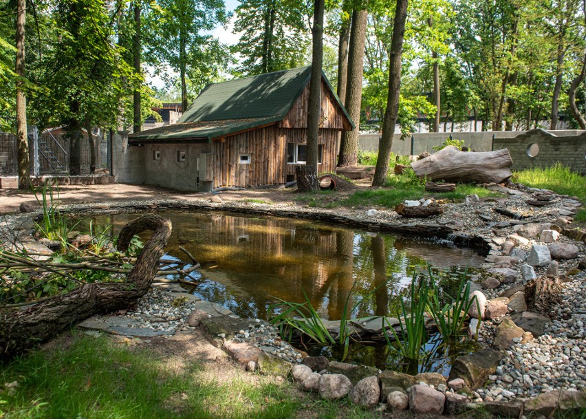 W Ogrodzie Zoologicznym będzie można oglądać niezwykłe zwierzęta