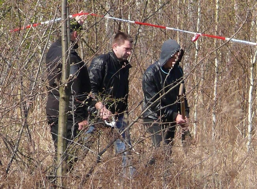 Z łopatą w ręce Przemek, prowadzony na wizję lokalną.