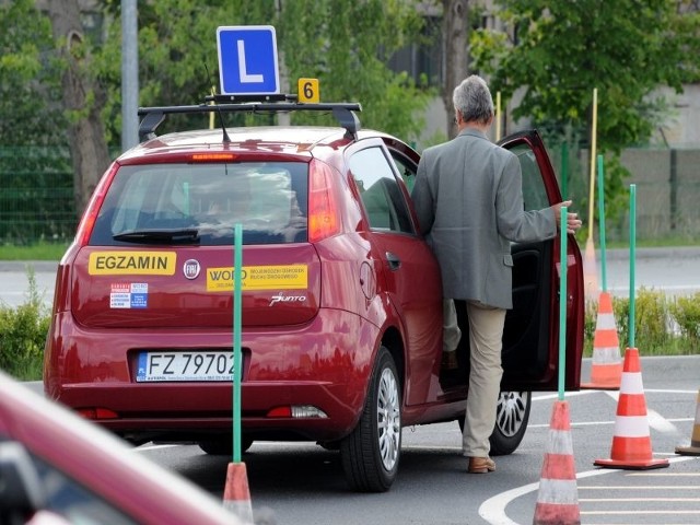 To Ty możesz wybrać najpopularniejszą szkołę uczącą przyszłych kierowców.