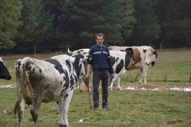 Sławomir Franiak (na zdjęciu) szacuje, że dla czterdziestki krów zabraknie mu paszy na co najmniej dwa zimowe miesiące