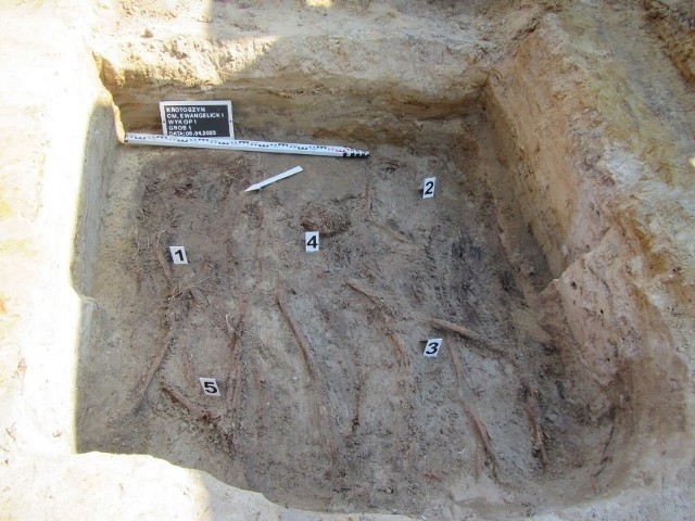 Podczas prac archeologicznych na terenie tego cmentarza odkryto dwie mogiły zbiorowe, w których znaleziono 7 oraz 5 szkieletów. Ciała zostały złożone do jam grobowych w sposób, który odbiega od zwykłych pochówków. Ponadto nie znaleziono też żadnych przedmiotów. Teraz szczątki zostaną przekazane do badań antropologicznych i próby identyfikacji genetycznej.