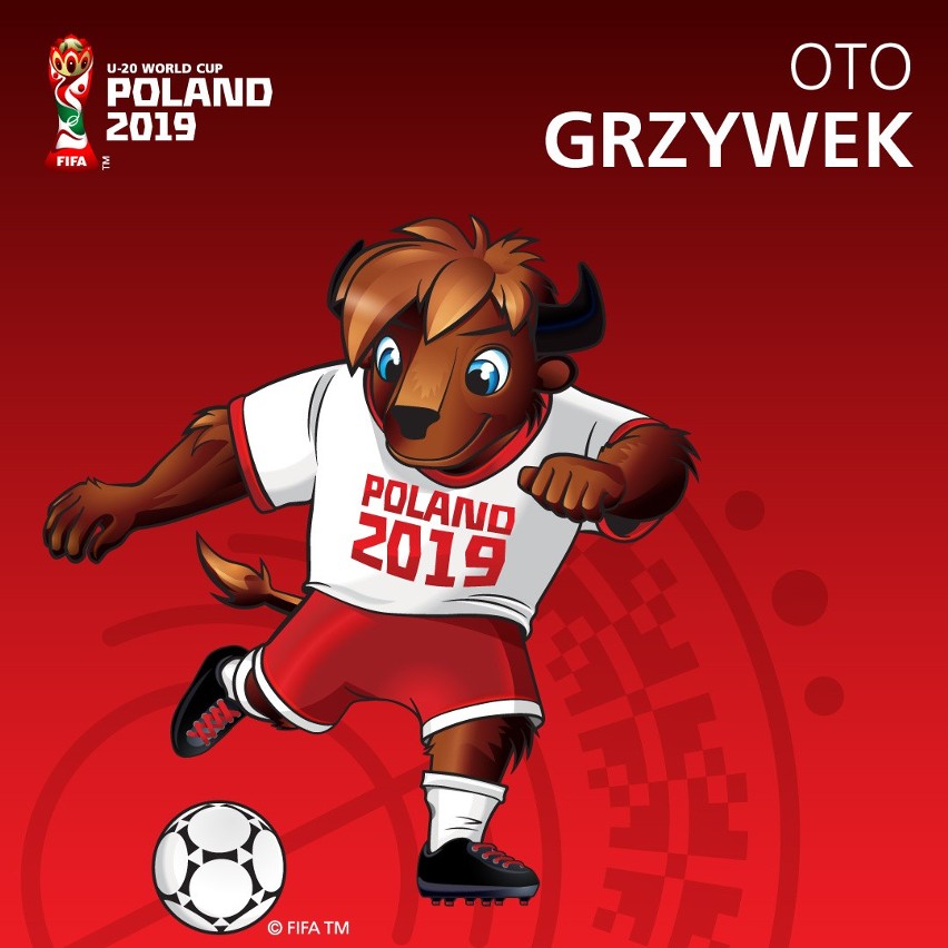 Grzywek - oficjalna maskotka MŚ U-20