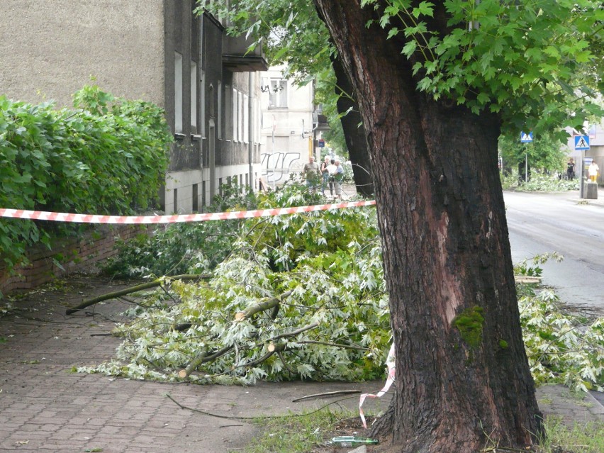 Nawałnica nad Pabianicami. Zamknięte ulice. Trwa usuwanie drzew. Miasto daje dodatkowe pieniądze na walkę ze skutkami żywiołu. ZDJĘCIA