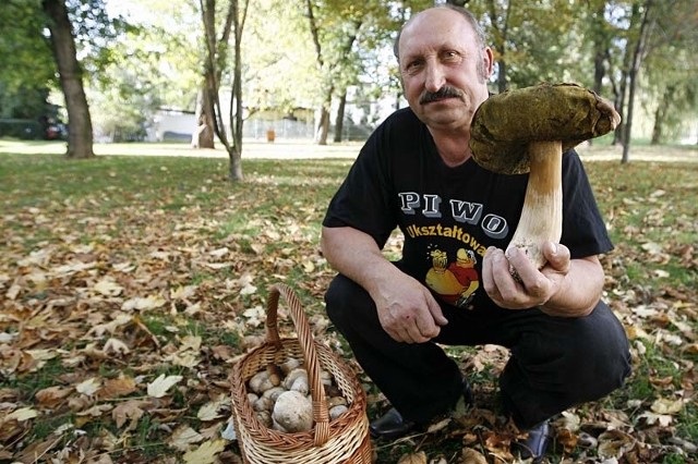 Ksawery Krzysztof Hajder z Wólki Niedźwiedzkiej wybrał się wczoraj na grzyby w okolice Leżajska. Oprócz pełnego kosza prawdziwków, znalazł okaz, który ważył ponad jeden kilogram. 
