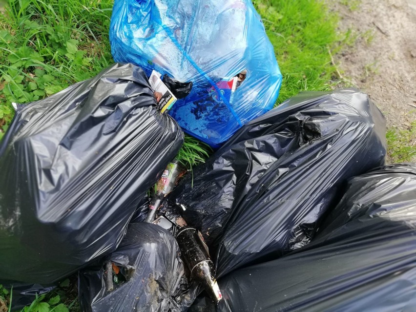 Śmieci w Koszalinie. Problem z dzikimi wysypiskami [ZDJĘCIA]