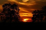 Zachód słońca nad inowrocławskim Parkiem Solankowym [zdjęcia]