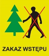 Puszcza Białowieska: Zakaz wstępu do lasów na terenie Nadleśnictwa Białowieża (mapa)