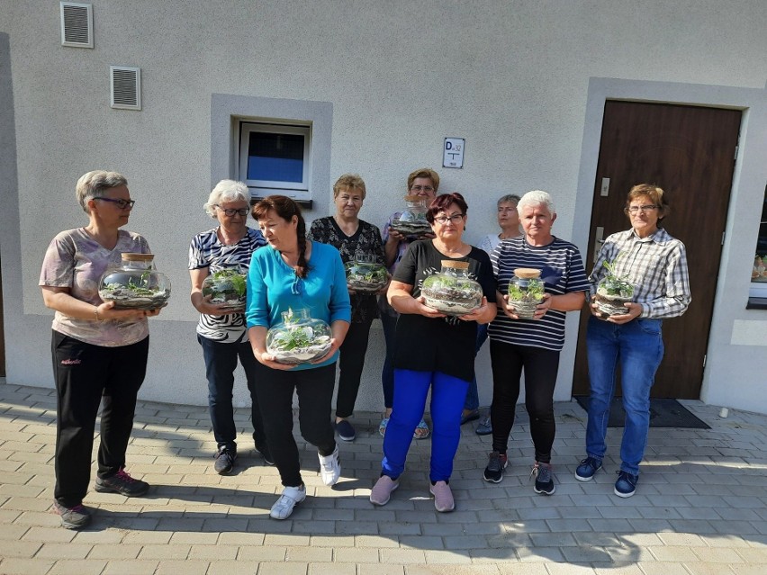 Własny las lub ogród w słoiku. Coś pięknego. Warto to zrobić...