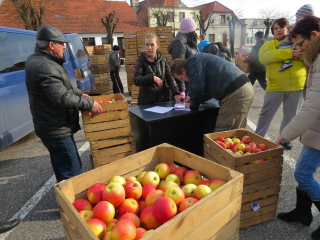 Około 130 rodzin, potrzebujących wsparcia otrzymało dziś bezpłatnie po skrzynce jabłek na osobę. Miejski Ośrodek Pomocy Społecznej pozyskał owoce z włocławskiej filii Chrześcijańskiej Służby Charytatywnej. W sumie - 4 tony. Jak powiedziała nam Emilia Wiśniewska, kierowniczka MOPS w Nieszawie, to nie ostatnia taka akcja. Owoce wydawały pracownice socjalne: Malina Szelążek i Angelika Koss.