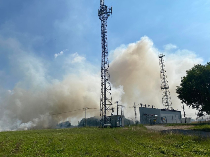 Pożar na polach pomiędzy Jerzmanowicami a Gotkowicami