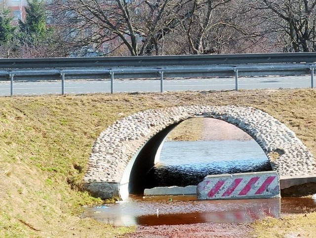 W przejściu dla pieszych jest tyle wody, że nie można przez nią przejechać nawet rowerem. Dlatego ludzie ryzykują i wchodzą na niebezpieczną obwodnicę.