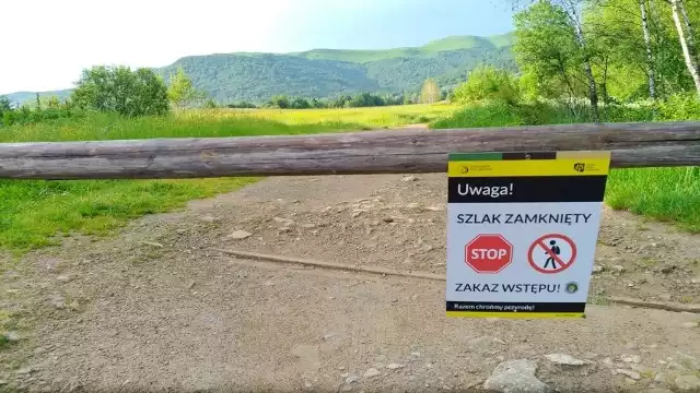 Szlak relacji Wołosate - Tarnica został dziś zamknięty do czasu unieszkodliwienia niewybuchu przez saperów.