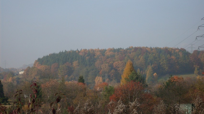 KRZESZOWICE - lasy wokół Bartlowej Góry (należące do Parku Krajobrazowego Dolinki Krakowskie) lub lasy okalające Tenczynek (Tenczyński Park Krajobrazowy)