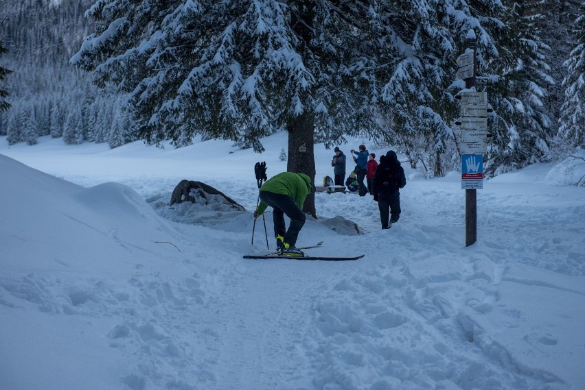 Zimowe Tatry. W weekend w górach było pięknie. Wycieczka do Doliny Małej Łąki i na Przysłop Miętusi [ZDJĘCIA]