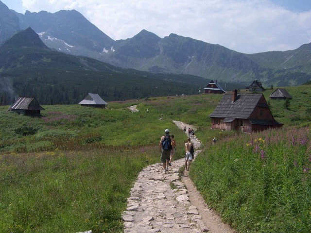 Hala Gąsienicowa w Tatrach