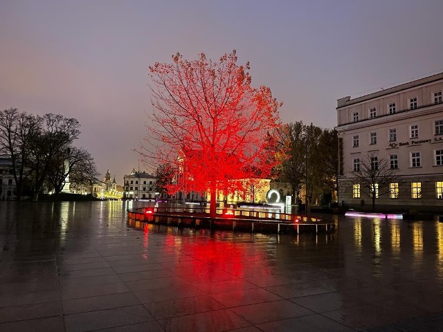 Baobab, podobnie jak inne miejsca w Lublinie, "zapłonie" w niedzielę na czerwono.