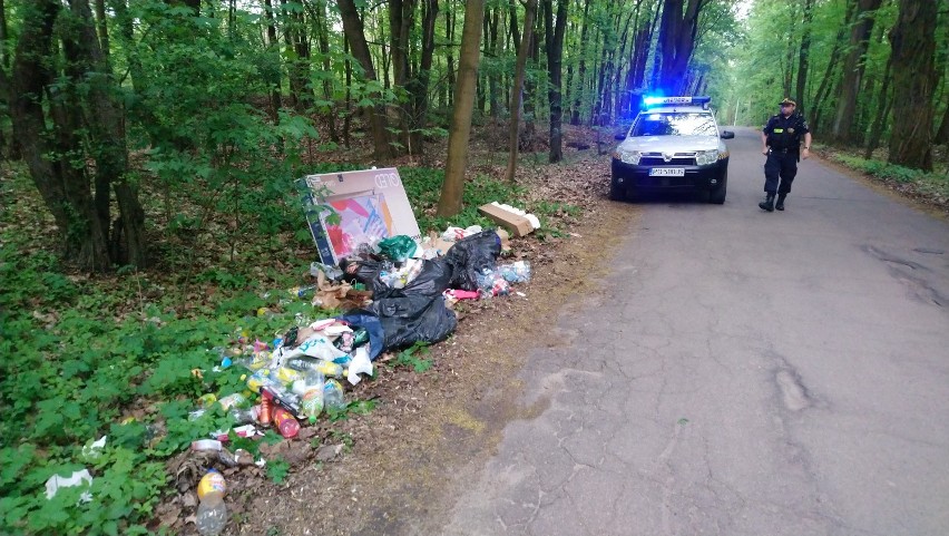 Przy ul. Wrzesińskiej w Poznaniu straż miejska namierzyła...