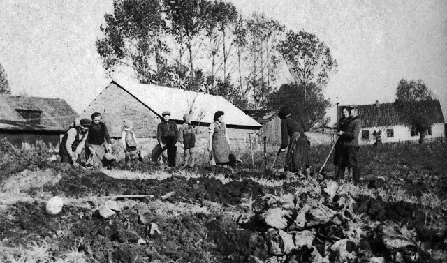 1941 rok. Praca w gospodarstwie prowadzonym przez niemieckiego gospodarza. Fotografia ze zbiorów Czytelniczki z Nowego Miasta Lubawskiego