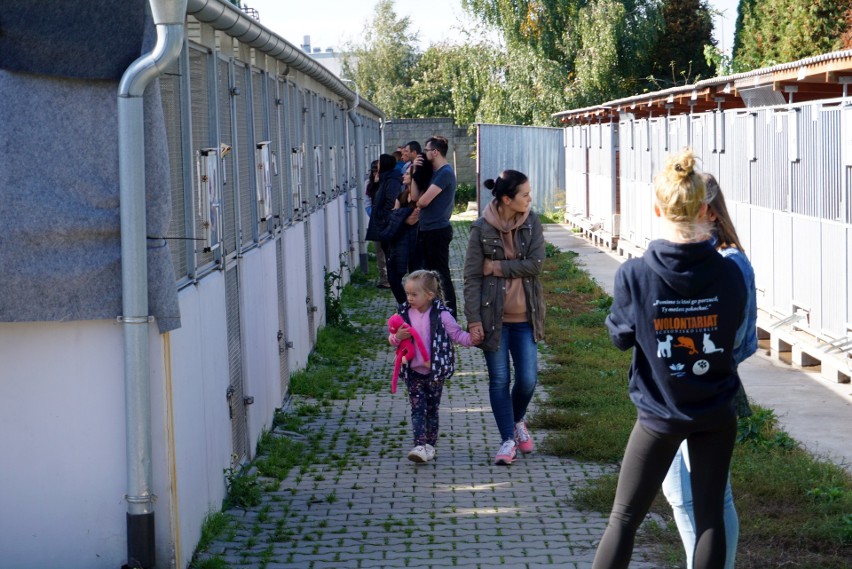 Dzień otwarty w lubelskim Schronisku dla zwierząt. Placówkę odwiedziła Katarzyna Bujakiewicz. ZDJĘCIA