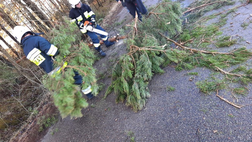 Wichura w powiecie ostrołęckim. Strażacy usuwali powalone drzewa, doszło też do zerwania dachu. 17.02.2022