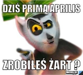 1 kwietnia dzień żartów i psikusów. "Mówił, że mnie kocha, a to był prima aprilis!". Najlepsze MEMY. Prima Aprilis, uważaj, bo się pomylisz!