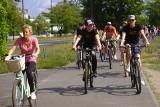 Najlepsze trasy rowerowe w Kujawsko-Pomorskiem: Toruń i okolice. Gdzie się wybrać na wycieczkę?