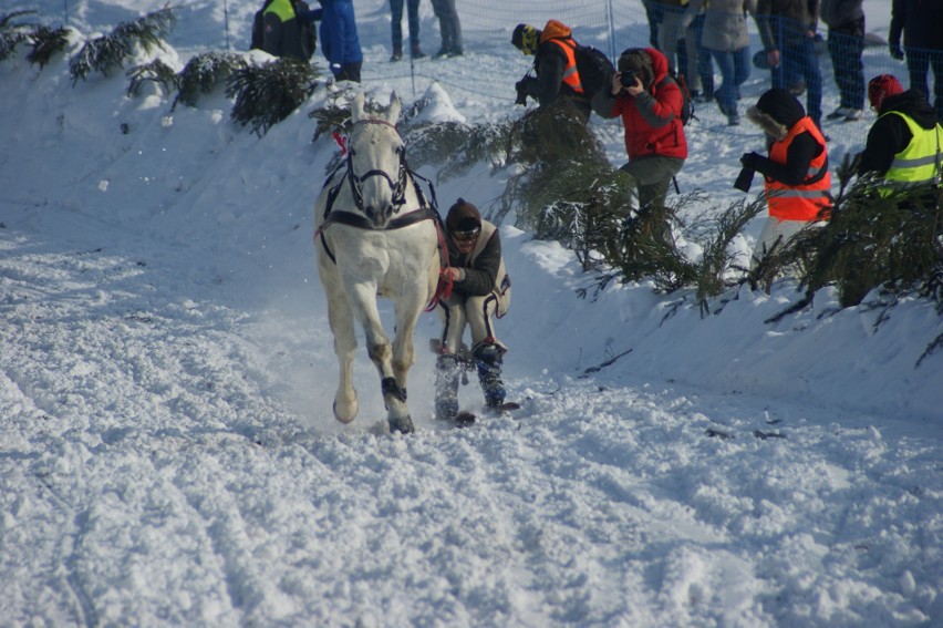 Kumoterki Zakopane 2018