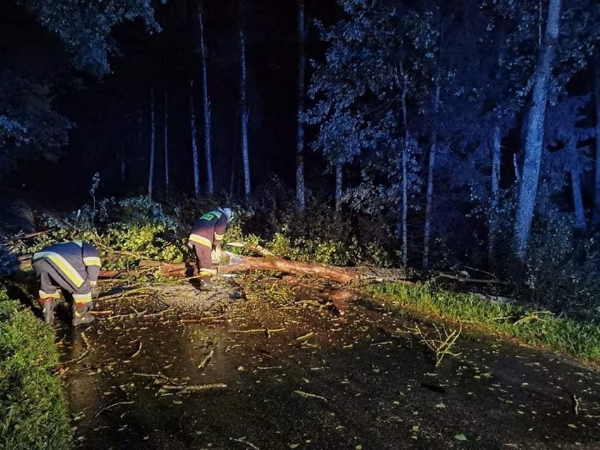 Silny wiatr w powiecie ostrołęckim. Strażacy wyjeżdżali w nocy kilkakrotnie, między innymi do powalonych na drogi drzew. 24.09.2021