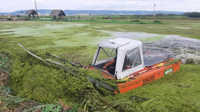 Na Noteci i Kanale Bydgoskim koszona jest roślinność wodna, która spowalnia przepływ i podnosi poziom wody, a przy tym utrudnia żeglugę.