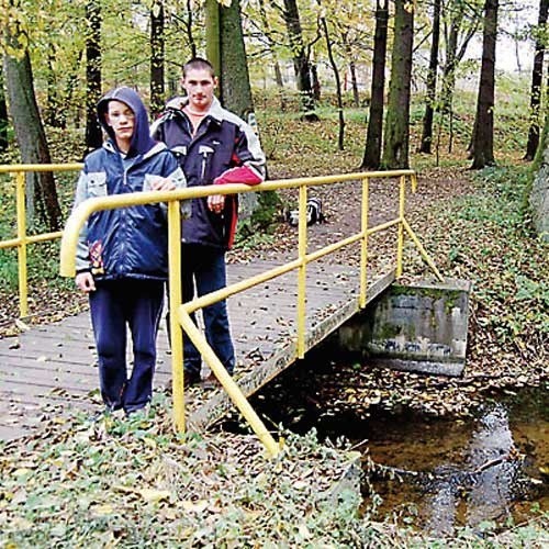 Podnóże wzgórza Marienthron, historycy chcą tu repliki młyna wodnego.