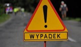 Nietypowy wypadek w Głuchowie. Motocyklista został ugryziony w szyję przez owada, z pojazdu spadła pasażerka