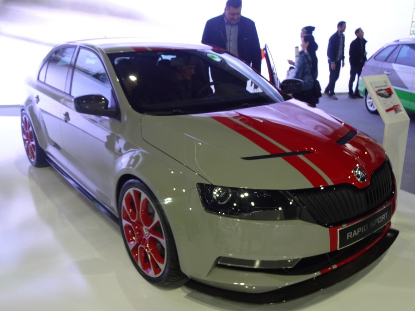 Skoda na Poznań Motor Show

Fot. Tomasz Szmandra