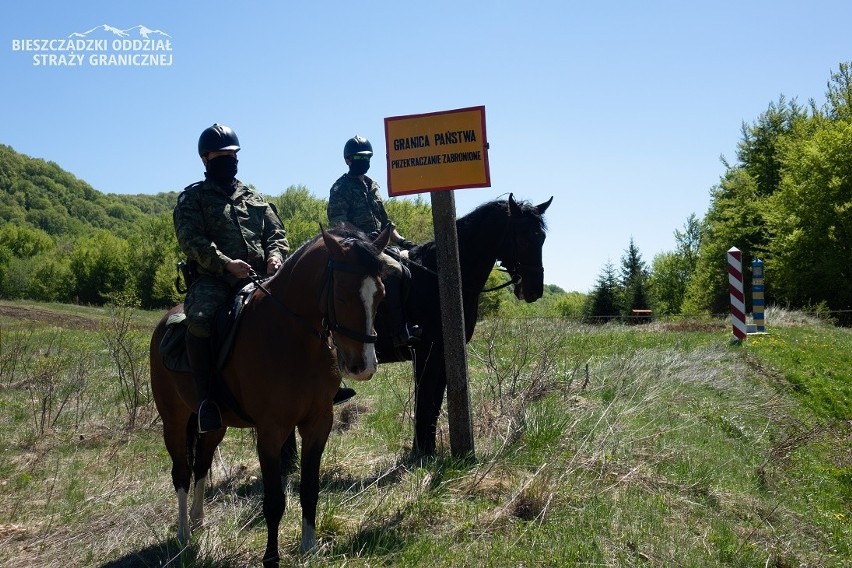 Bieszczady to jedynie miejsce w Polsce, w którym konie...