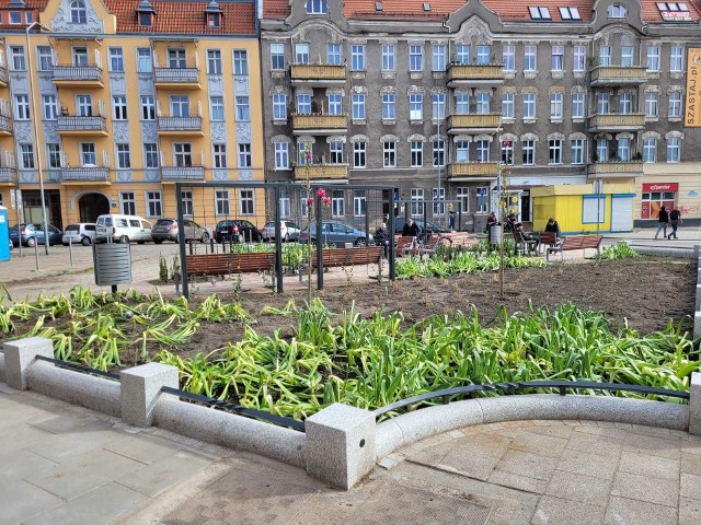 Park kieszonkowy u zbiegu ulic Żółkiewskiego i Bohaterów Warszawy