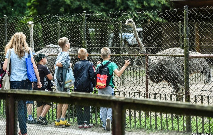 Uśmiech dziecka w Myślęcinku