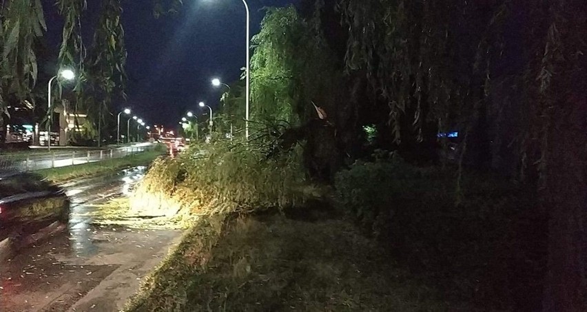 Połamane drzewa w Ostrowcu