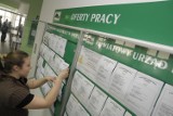 Opolskie firmy deklarują, że chętnie przyjmą obcokrajowców do pracy. Niektóre już to robią