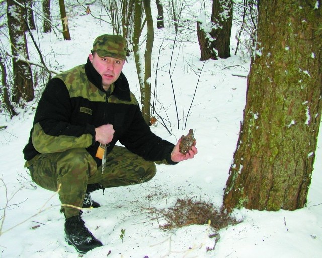 - Tu wykrywacz do metalu piszczy niemal wszędzie. Jest moc takiej zardzewiałej śmierci, jak ten granat - mówi Robert Makuła.