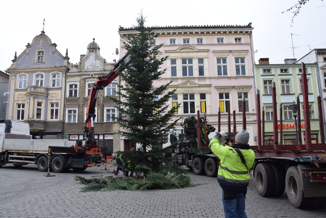 Zielona Góra, 2 grudnia 2019 r. Montaż choinki na zielonogórskim deptaku.