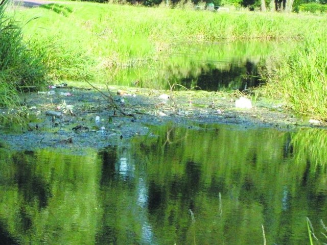 Tak wygląda Czarna Hańcza na odcinku do mostu na Bakałarzewskiej do zalewu Arkadia