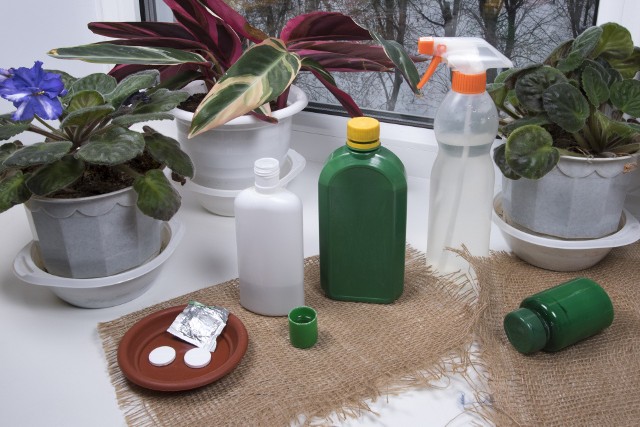 Mydło potasowe ogrodnicze to bezpieczny środek (dopuszczony nawet do wykorzystania w rolnictwie ekologicznym), który może wesprzeć nas w ochronie roślin przed chorobami i szkodnikami roślin.
