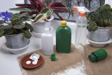 Mydło potasowe ogrodnicze – co to jest i jak wykorzystać je do ochrony roślin. Czy można zastąpić je mydłem szarym?