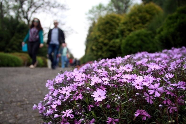 Po Ogrodzie Botanicznym - Spacer z przewodnikiem...