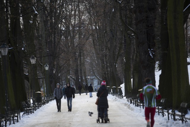 04.01.2017 krakow  planty, zima, snieg, nz fot. andrzej banas / polska press