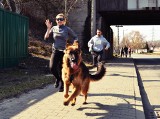 Dogtrekking Katowice: Bieg z psami zgromadził tłumy uczestników i widzów ZOBACZCIE ZDJĘCIA