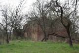 Nieopodal Rakoniewic można znaleźć ruiny domu Michała Drzymały 