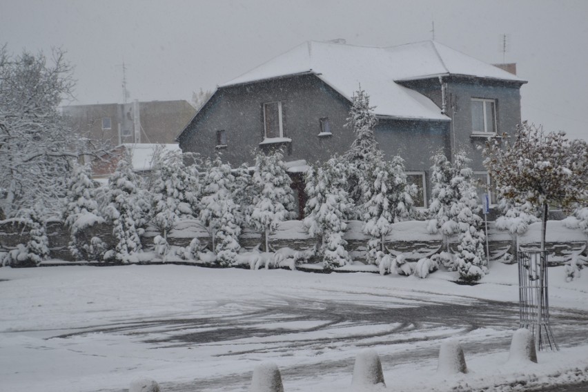 Atak zimy w Myszkowie. Napadało ponad 20 cm śniegu ZDJĘCIA