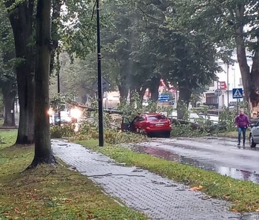 Wypadek we Władysławowie 14.10.2020. Drzewo przygniotło jadący samochód. Jedna osoba ranna. Zdjęcia