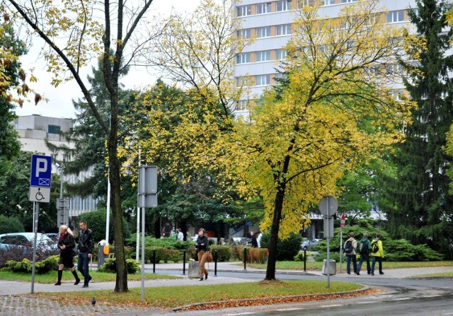 Co roku październik oznacza najazd studentów. Ze wszystkimi, przykrymi i przyjemnymi, tego konsekwencjami dla lublinian.